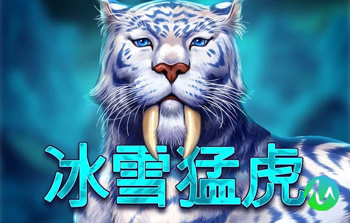 曲棍球大战
